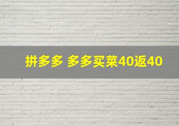 拼多多 多多买菜40返40